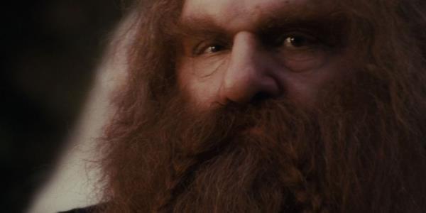 A closeup of Gimli in Lord of the Rings