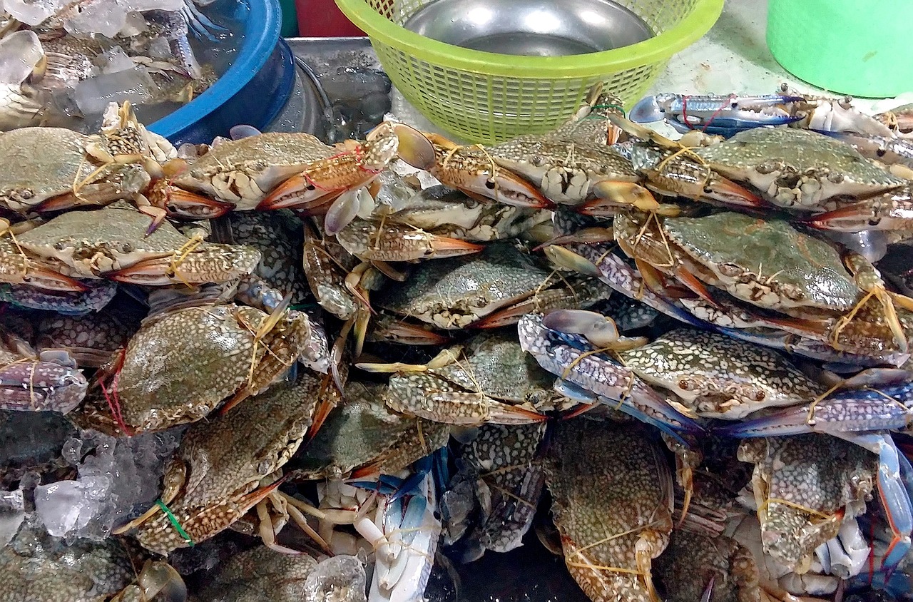 仍然是廉价美味海鲜的天堂