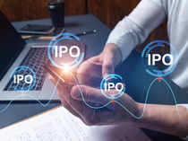 Amid IPO fever, Sebi chief says will look into high valuations of public offers