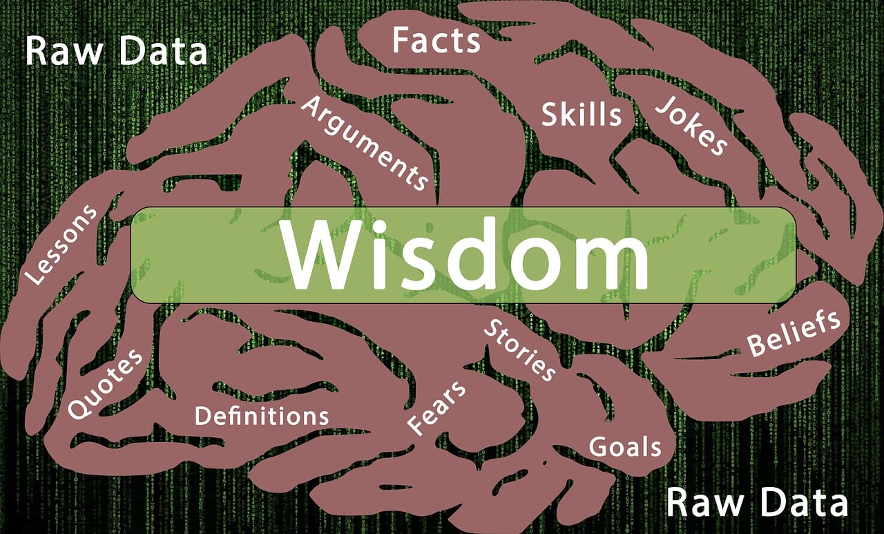 虚拟现实研究揭示存在感与认知能力之间的联系
