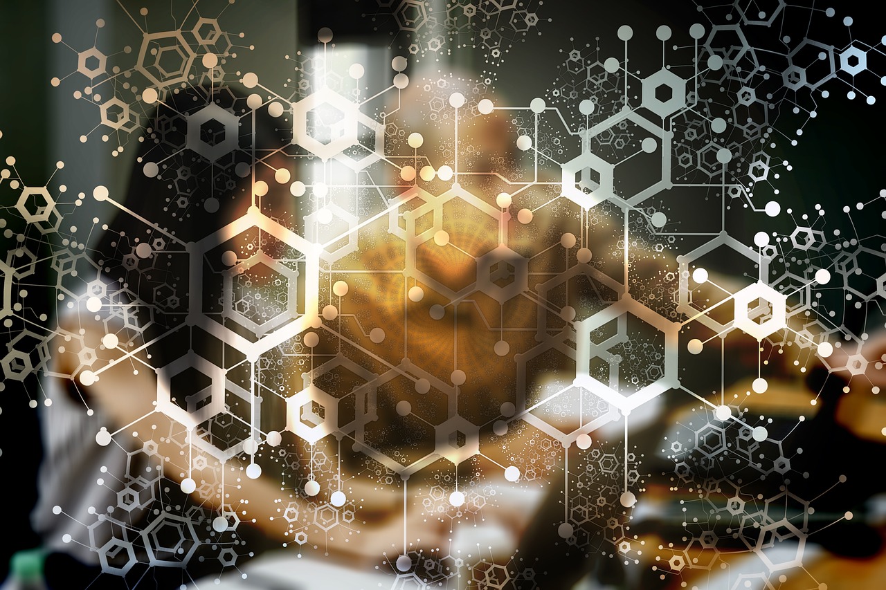 科学家提出了一种自组织的连接模式，适用于广泛的生物体
